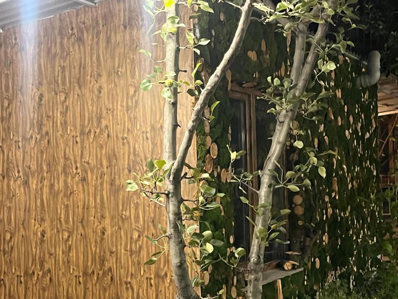 Andranik B&B Gorisz Kültér fotó